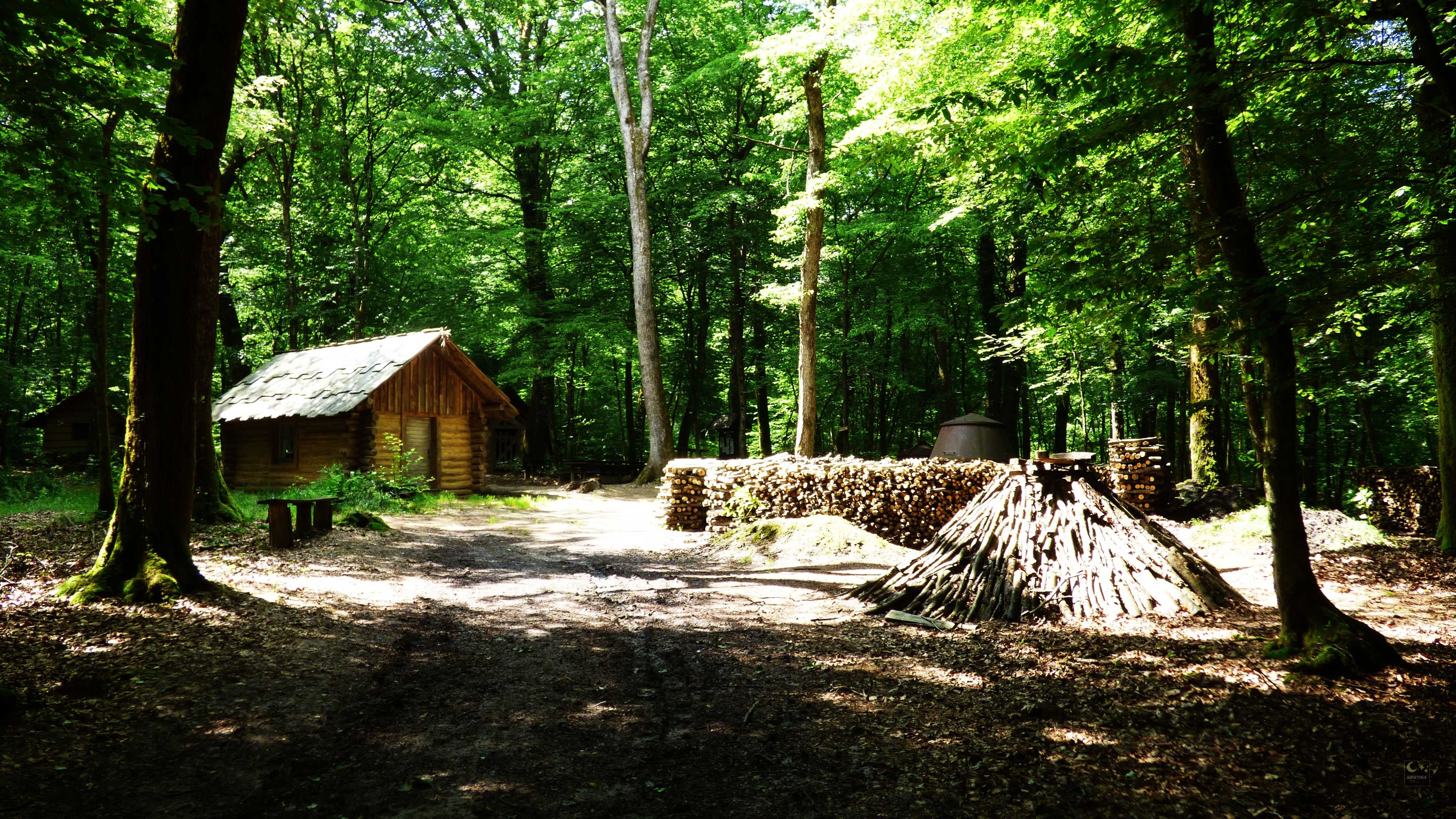 Baraques Du 14 De La Forêt De Chaux Photos