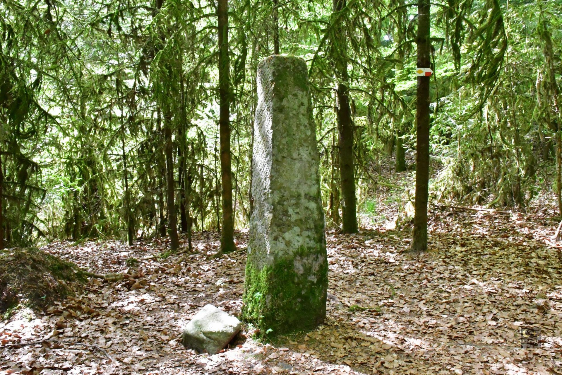 La Haute Borne – Saint-Etienne-Lès-Remiremont (88)