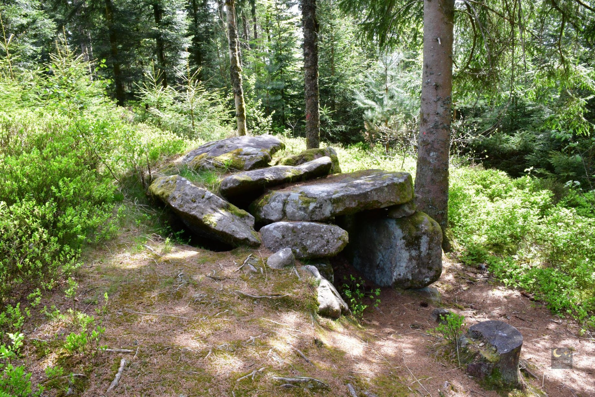 Dolmen de Purifaing – Saint-Étienne-lès-Remiremont (88)