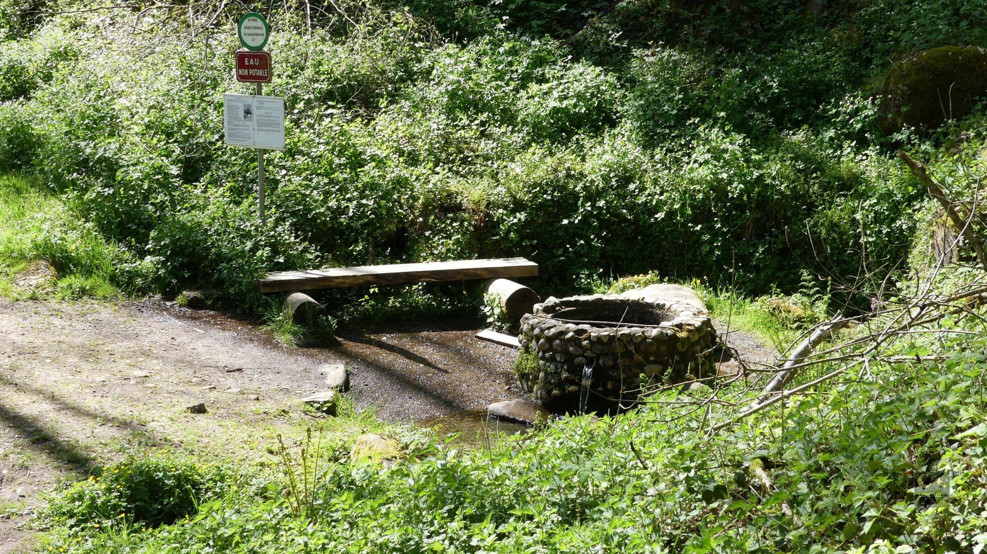 Source chaude de Chaudefontaine – Vecoux (88)