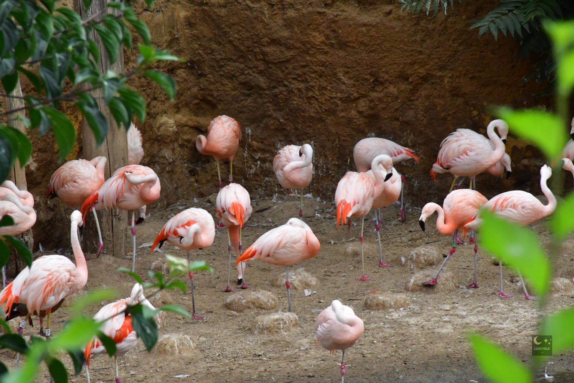 Le Bioparc de Doué-en-Anjou (49)