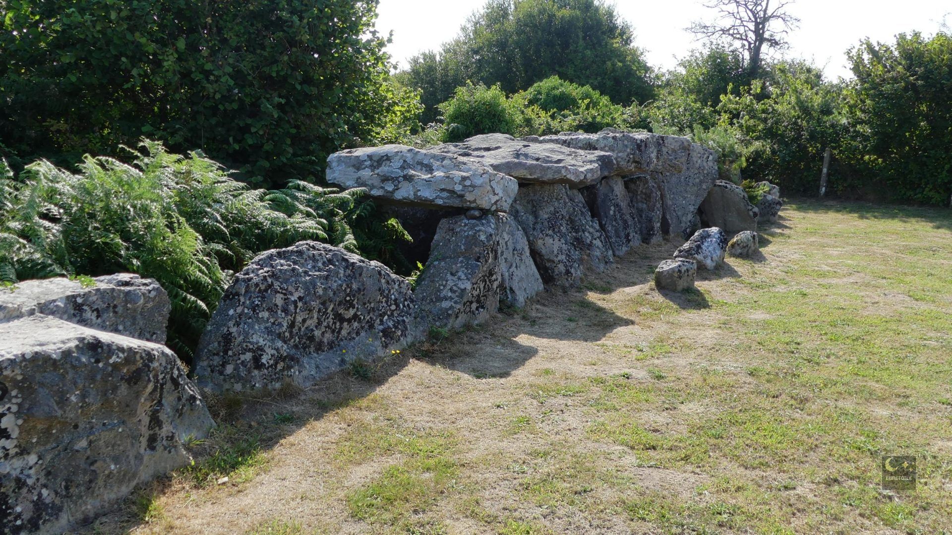Allée couverte de la Forge – Bretteville (50)