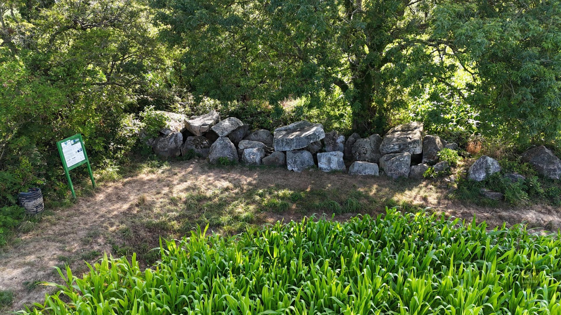 Allée couverte dite Autel des Druides – Les Moitiers-d&rsquo;Allonne (50)