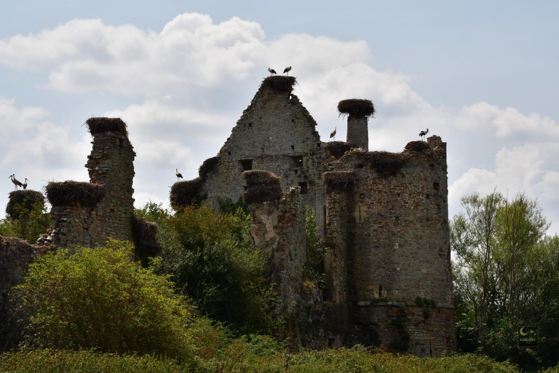 Château de la Rivière (ruines) – Saint-Fromond (50)