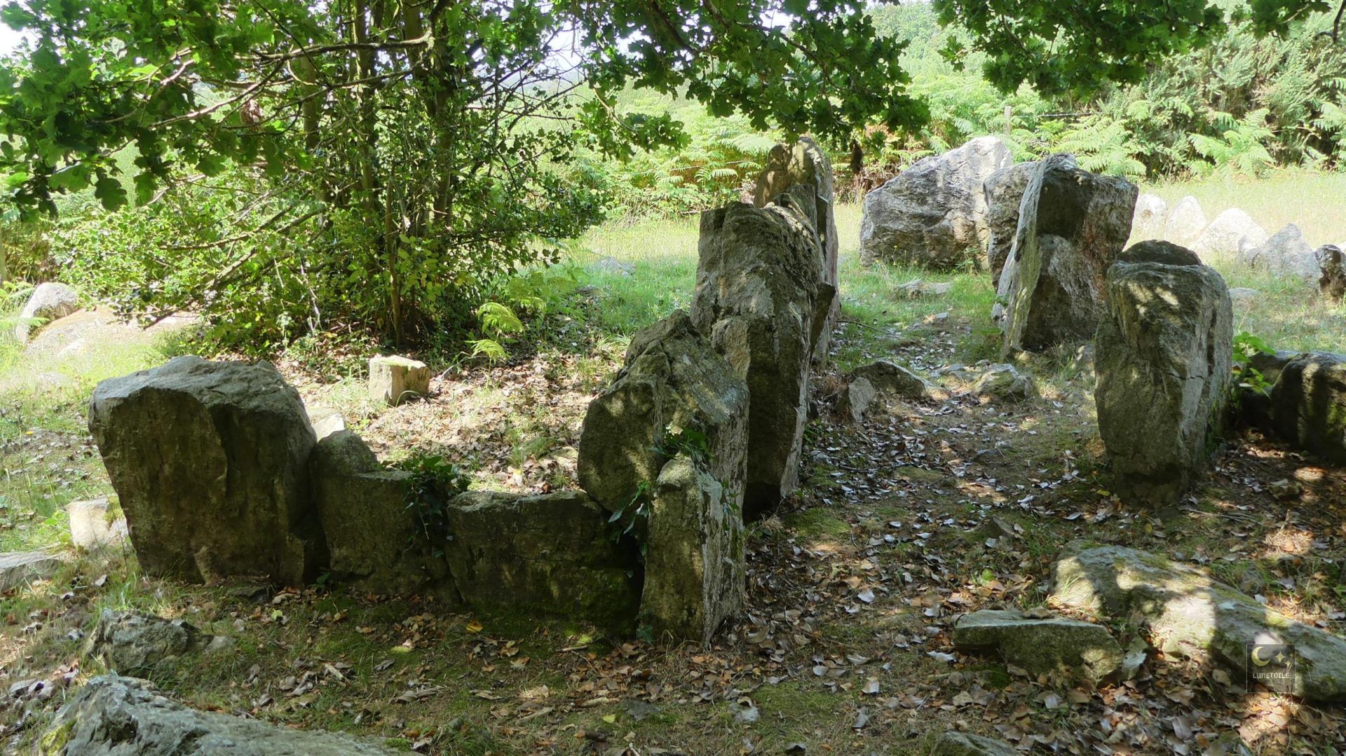 Allée couverte du bois de la Plesse – Montsenelle (50)