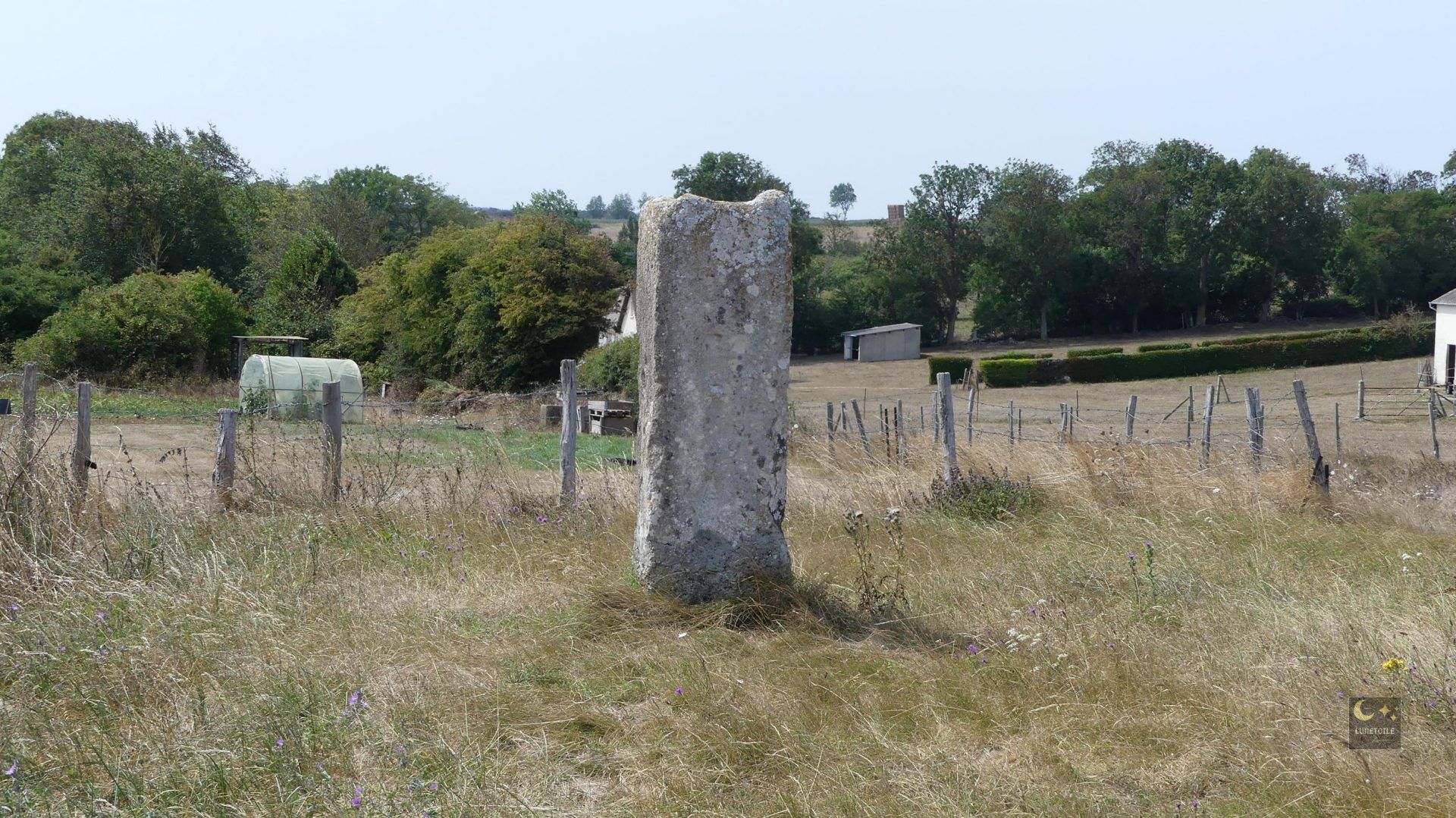 Menhir des Demoiselles – Colombiers-sur-Seulles (14)