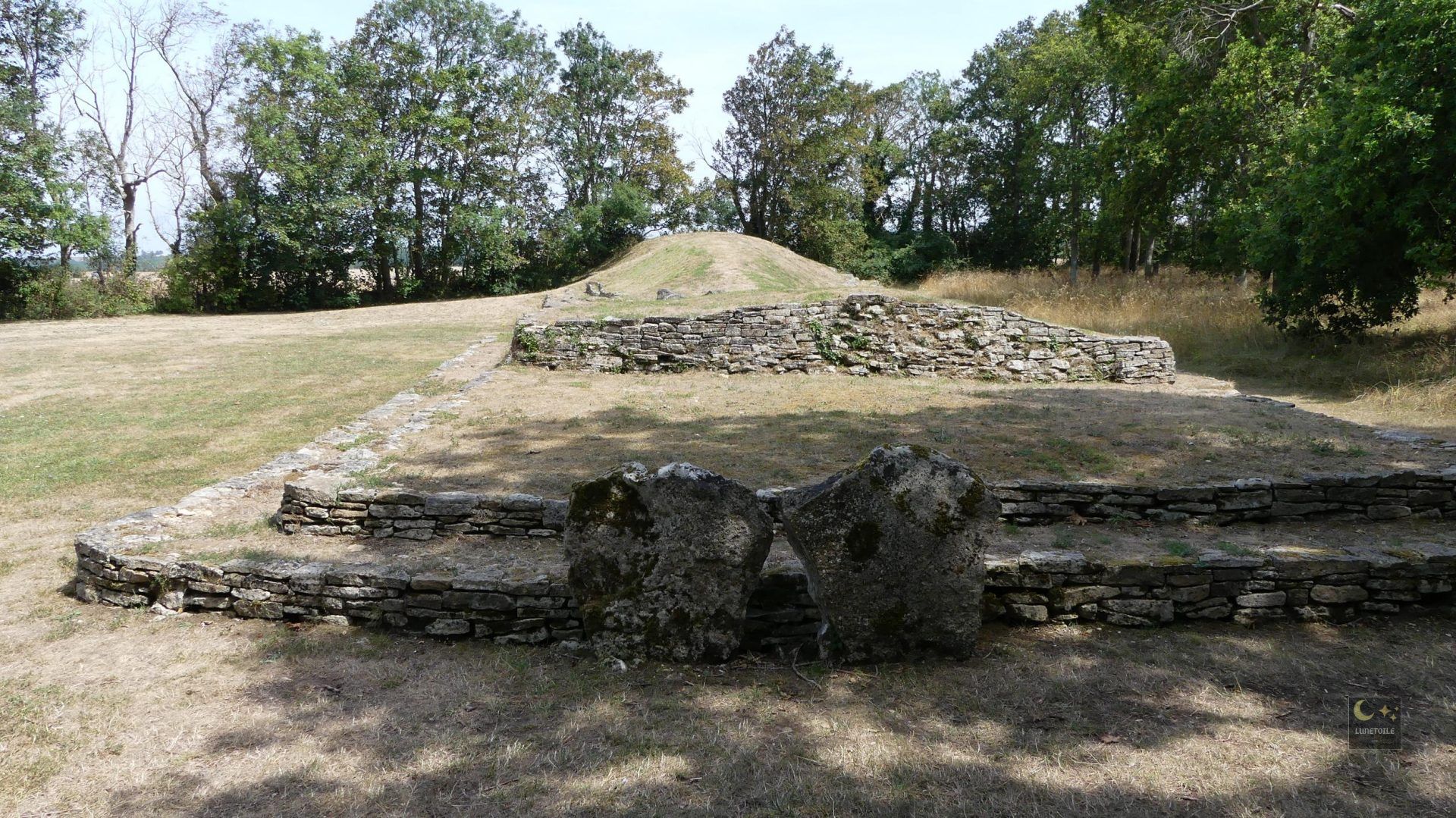 Tumulus – Colombiers-sur-Seulles (14)