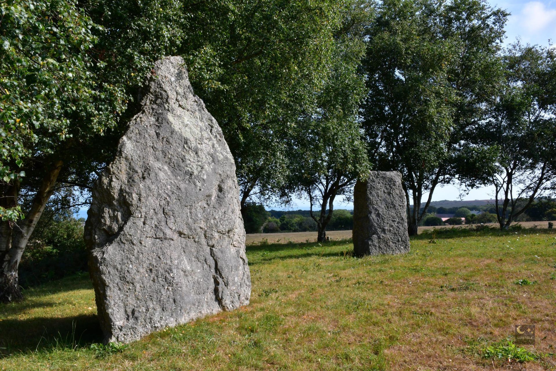 Menhirs dits Grande et Petite Pierre – Maupertus-sur-Mer (50)
