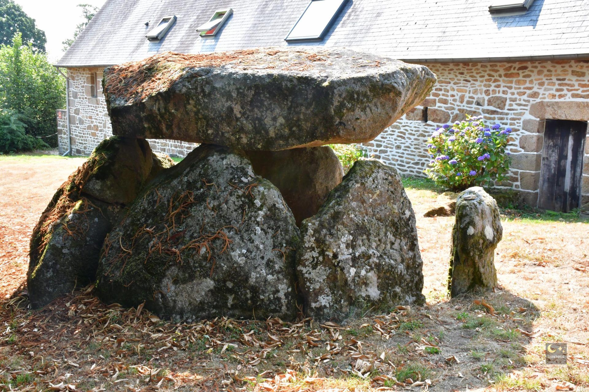 Dolmen de la Loge aux Sarrazins – La Chaudronnière – Vire-Normandie (14)