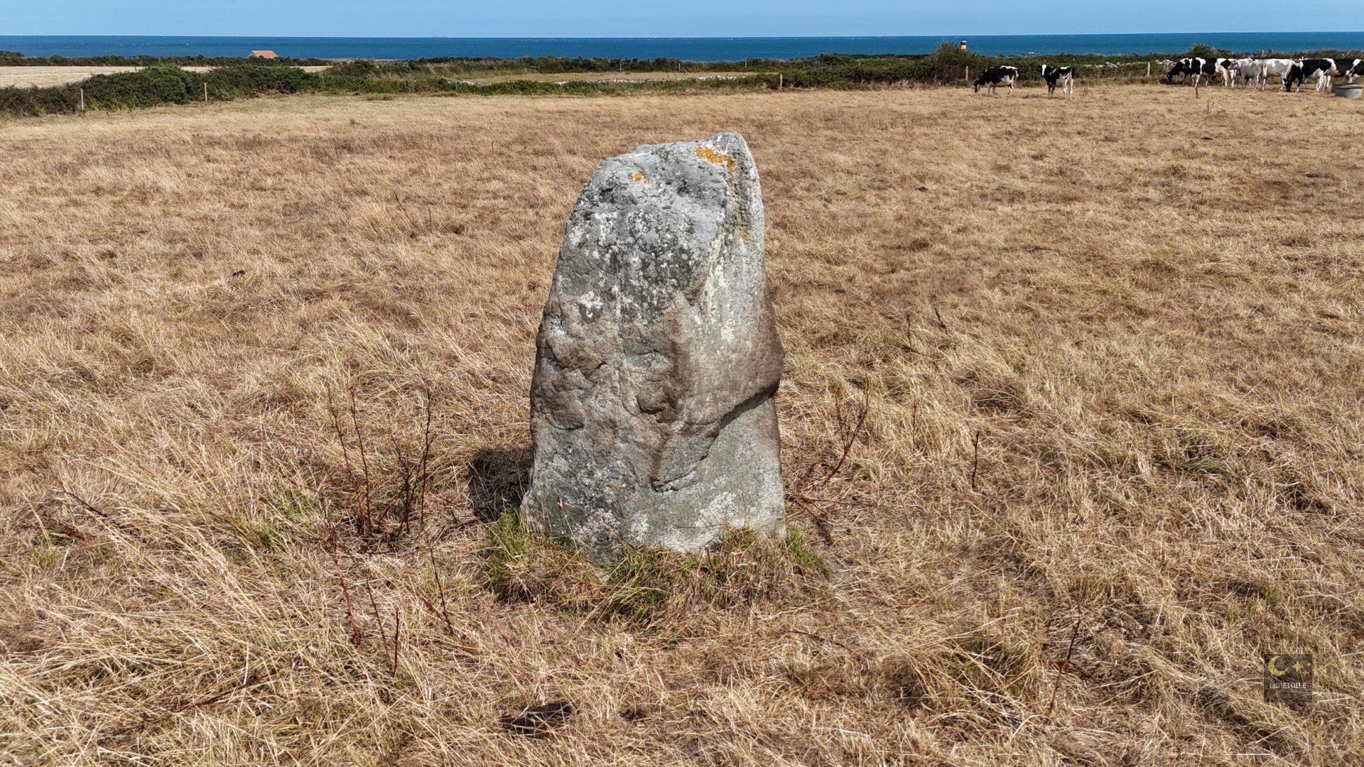 Menhir de la Bergerie des Etennevaux – Saint-Germain-des-Vaux (50)