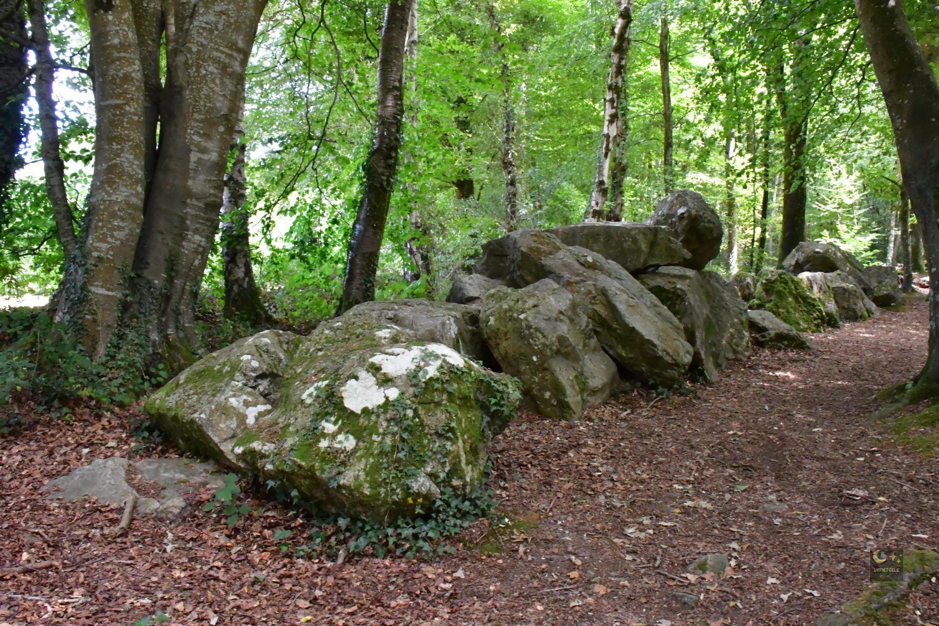 Allée couverte de Petite Roche et Grosse Roche – Rocheville (50)