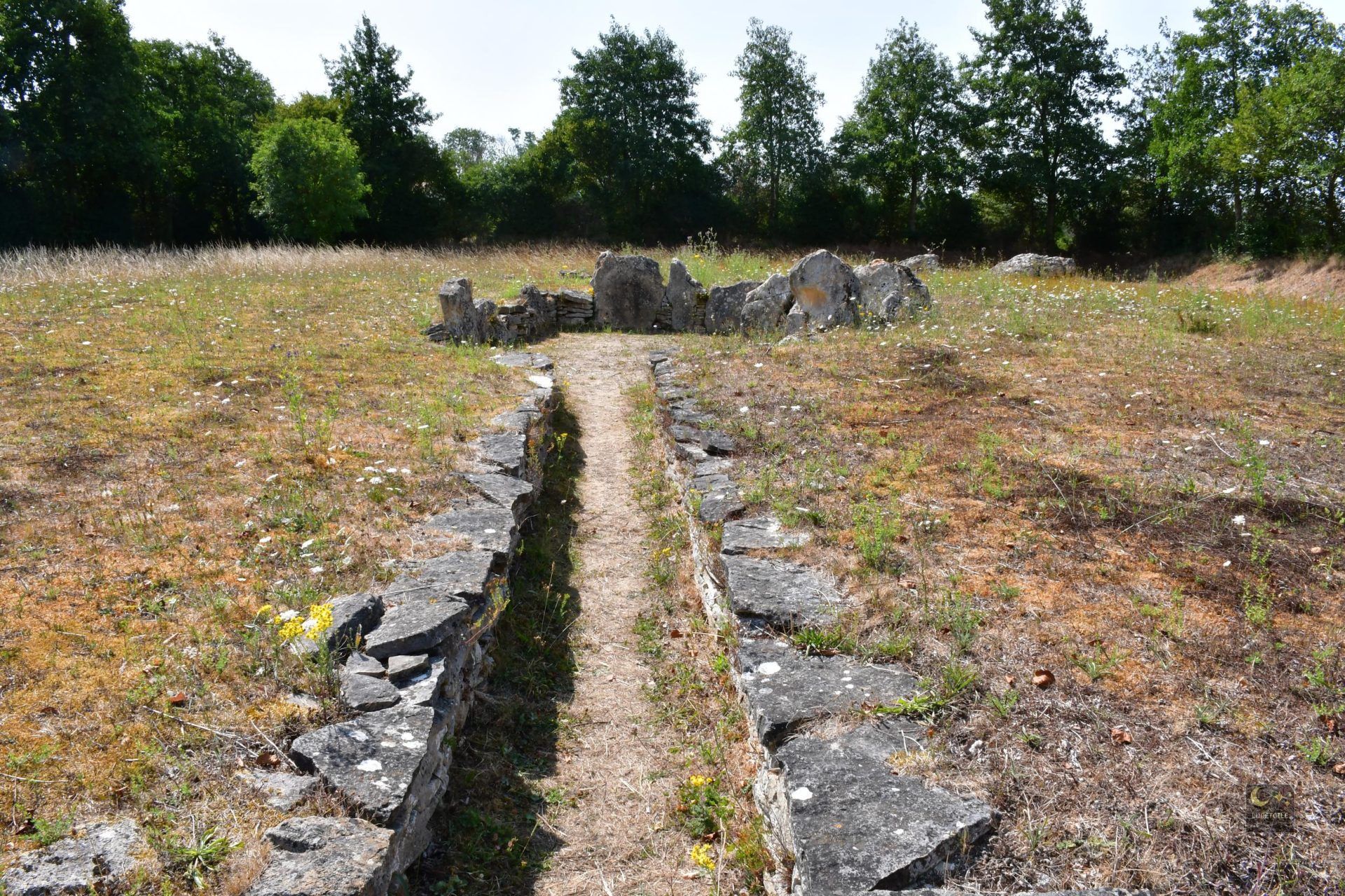 Dolmen de la Pierre Tourneresse – Cairon (14)
