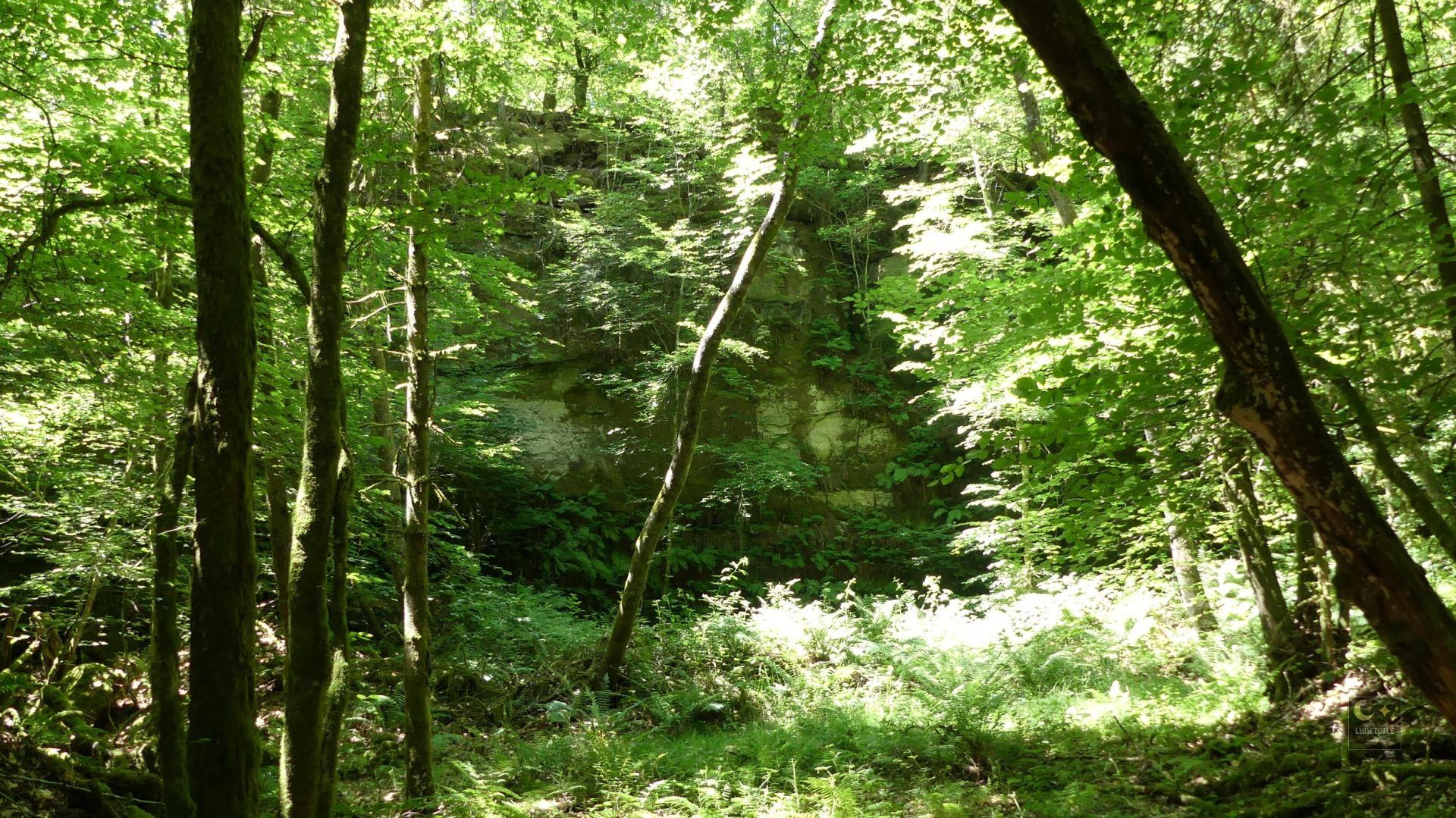 Ancienne carrière de meules – Bleurville (88)